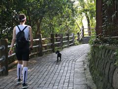 -紫金山山顶公园