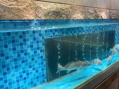 -百味馆·粤菜·湛江菜(后海花园店)