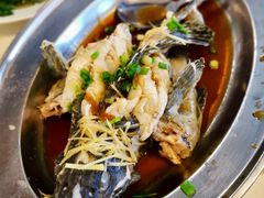 -真浪大家乐海鲜餐馆
