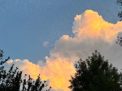 -北京国家会计学院