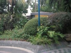 -宝园酒家(美林M·LIVE天地东座店)