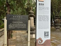 -四门塔风景区