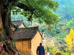 -杨家堂村