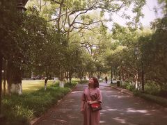 -杭州花家山庄