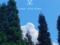 -武陵山森林公园