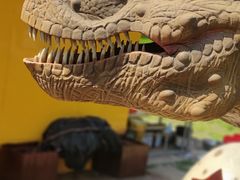 -哈尔滨北方森林动物园