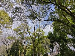 -永安龟山公园