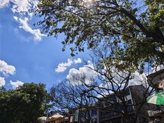 -楠溪江风景名胜区