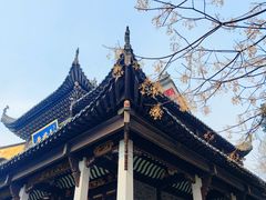 -长春观