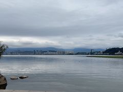 -洱海月湿地公园