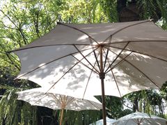 -Fern Forest Cafe