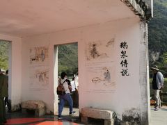 -靖西鹅泉风景区