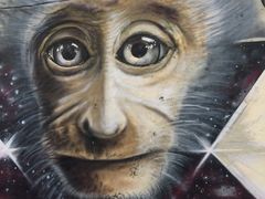 -槟城街头艺术街区