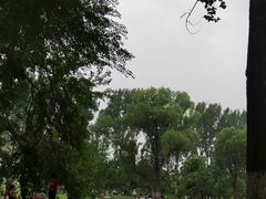 -御林古桑园