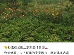 -东郊湿地公园