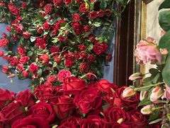 -第101座花园餐厅(湖滨88店)