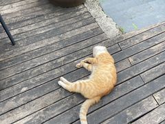-远山有窑