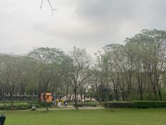 -顺峰山公园