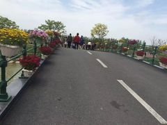 -荷兰花海