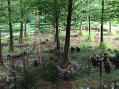 -南京市无想山景区