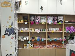 -东日国际动物医院·CT·心脏专科(桃源分院)