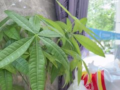 -渔码头食府(蓬莱阁店)