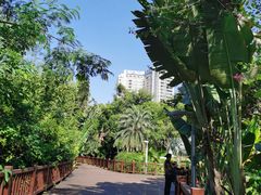 -金鸡岭桥头公园