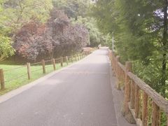 -花溪公园