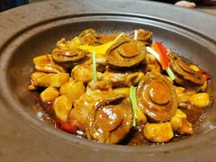 -临江·阅炉