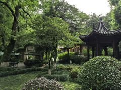 -十八棵（老龙井）御茶园(老龙井店)