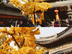-龙华寺
