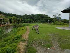 -宁波野生动物园