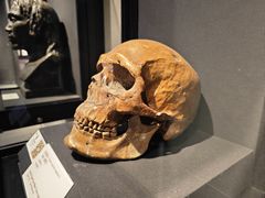 -北京周口店北京人遗址博物馆