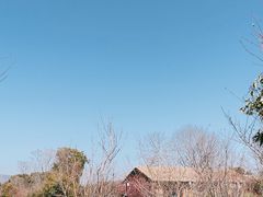 -良渚古城遗址公园