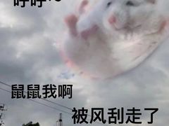 -耶里夏丽·丝路新疆菜·清真食品(徐汇南丹东路臻选店)