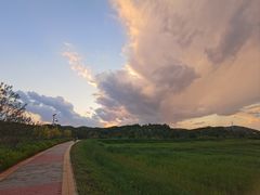 -御道口草原森林风景区
