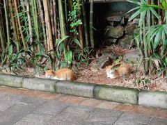 -晓港公园