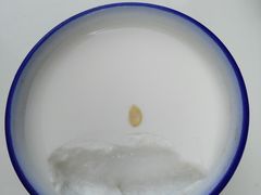-奶酪魏(牛街总店)
