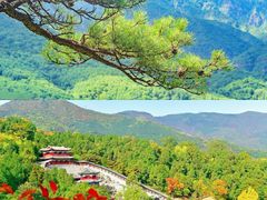 -沉浸北京·团建旅行·密室剧本杀·年会会议轰趴拓展
