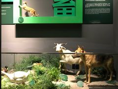 -长江文明馆