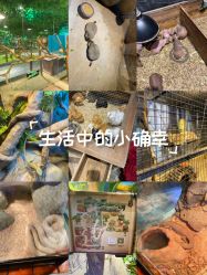 -酷嗒动物文化乐园(cutezoo西溪乐天城店)