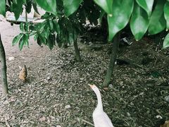 -青龙山国家森林公园