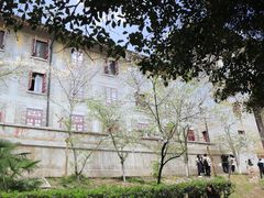 -武汉大学-樱园
