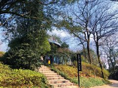 -岳麓山风景名胜区