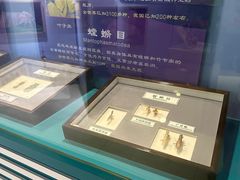-上海昆虫博物馆