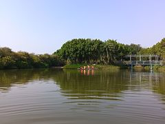 -天下先生态园农庄CS团建露营地(海鸥岛店)