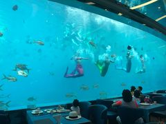 -瑞德姆美人鱼海底演艺主题餐厅(亚龙湾店)