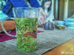 -帐篷客·溪龙茶谷度假酒店