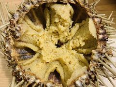 -海胆小馆(东北水饺·春柳店)