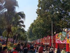 -风云岭森林公园